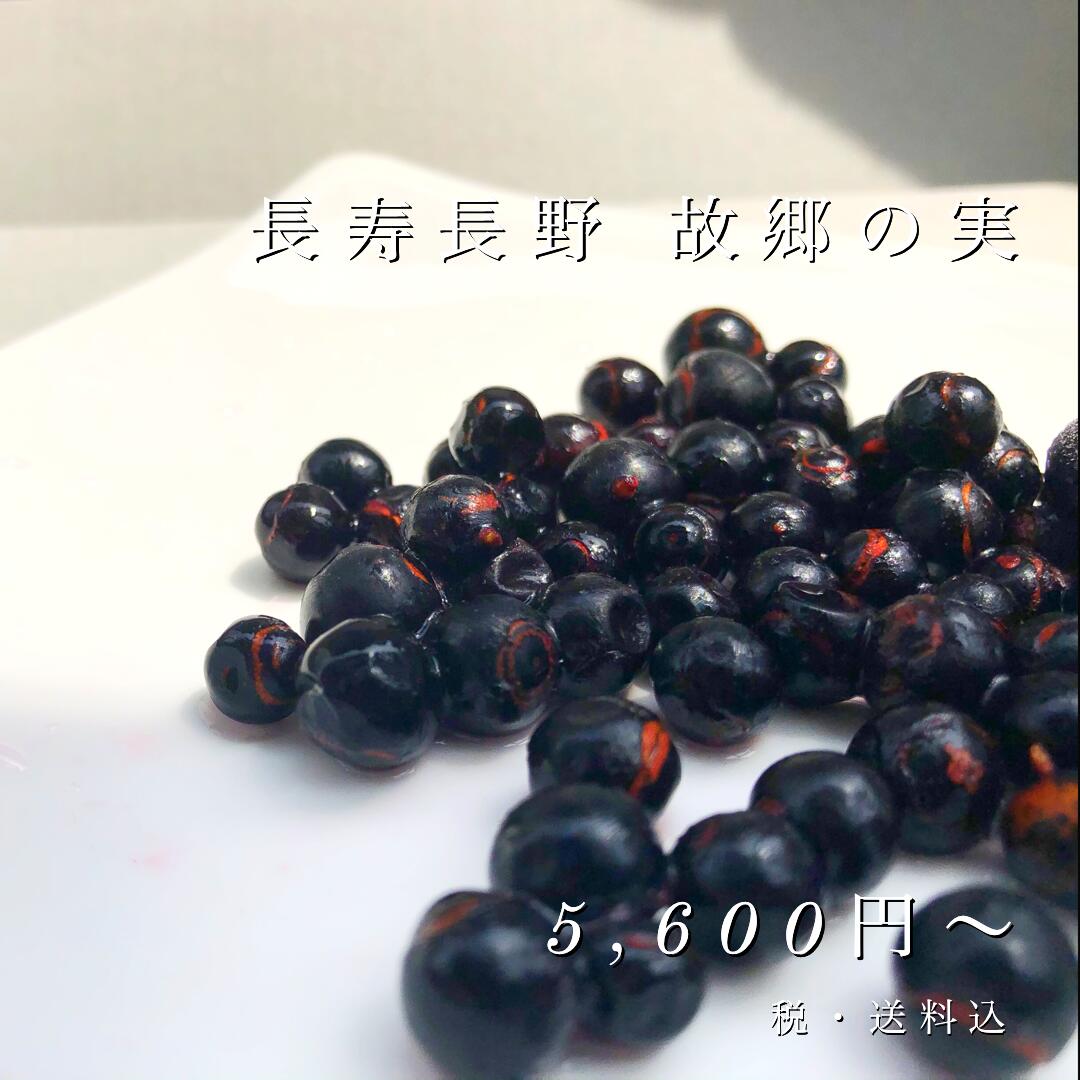【 信州産 冷凍 ナツハゼ ２ｋｇ 】 送料無料 <br> なつはぜ 夏ハゼ 夏はぜ ハゼベリー ブルーベリー スムージー 長野 信州 国産 有機栽培