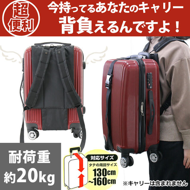 楽天市場】尺八ケース ハードタイプV3 3本収納 小物入れ付 64cm（2尺