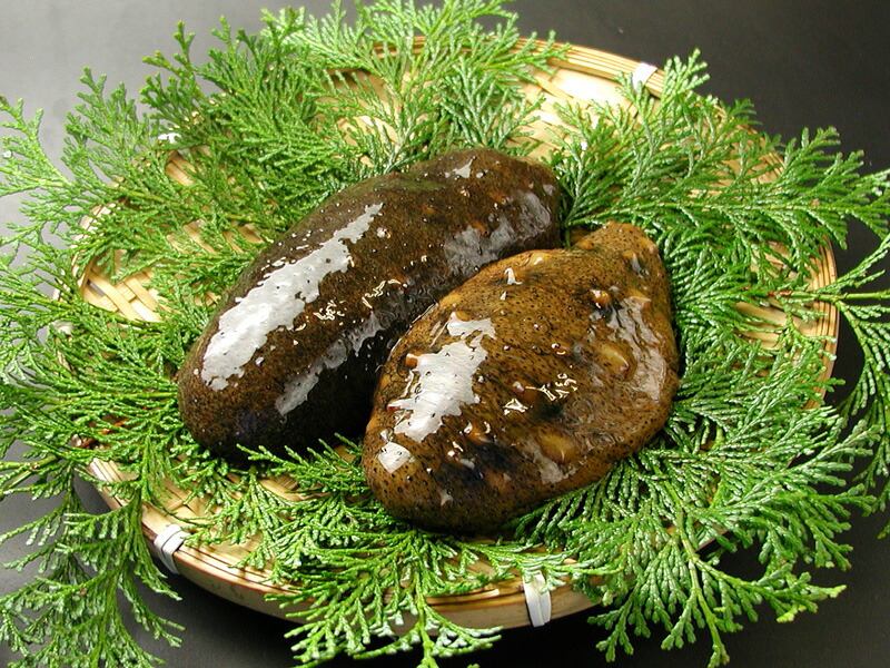 楽天市場】北海道産 天然なまこ 海鼠 Bランク : うめ南高苑