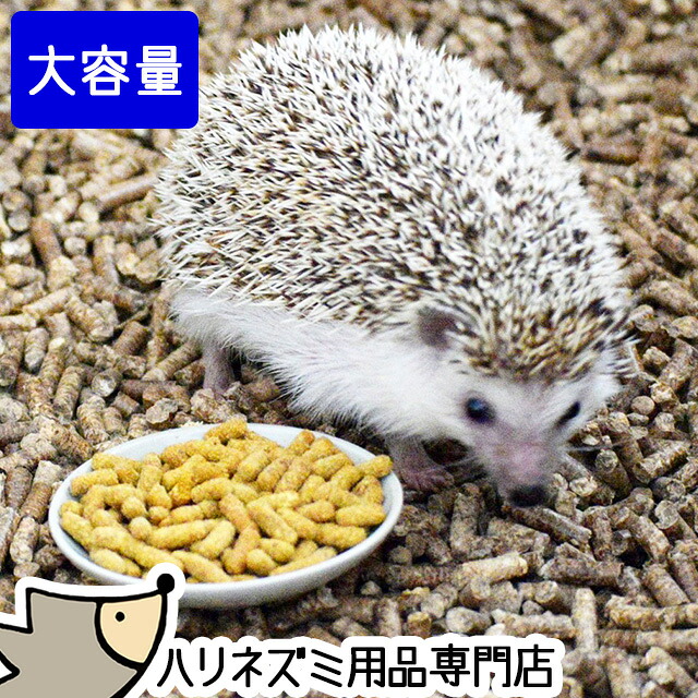 ハリネズミ用ソフトペレットフード 5袋セット！最安値 ハリネズミ用