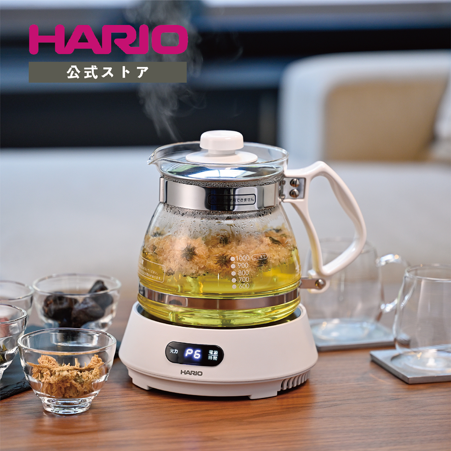 Hario Craft Tea Maker