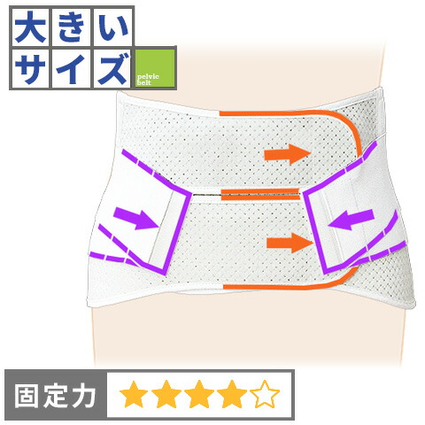 ヘルニア Amazon.co.jp: 男女兼用鼠径ヘルニア ベルト（両鼠径）ヘルニア