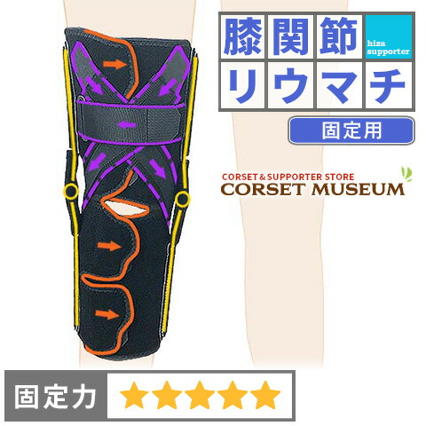 「膝、肩のスポーツリハビリテーション」 膝、肩のスポーツリハビリテーション」 商品詳細ページ