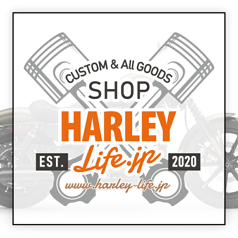 【49155-09A】ハーレー純正 KIT-MUSTACHE ENG GUARD,CHRM/FL|HARLEY-Life