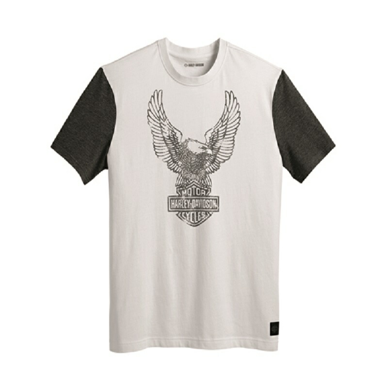 HARLEY-DAVIDSON 純正（ハーレーダビッドソン）ロードキャプテンカラーブロックTシャツ_96052-23VM
