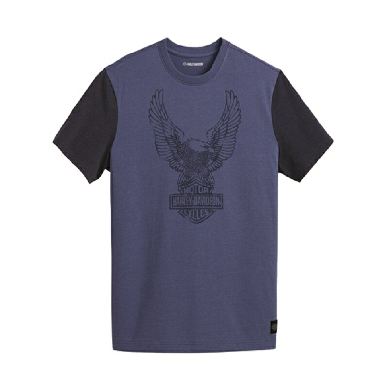 HARLEY-DAVIDSON 純正（ハーレーダビッドソン）メンズ ロードキャプテン カラーブロックTシャツ_96054-23VM