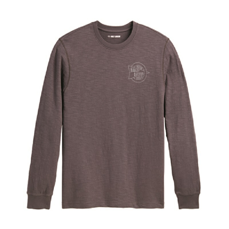 HARLEY-DAVIDSON 純正（ハーレーダビッドソン）メンズ ハーレーTシャツ_96081-23VM