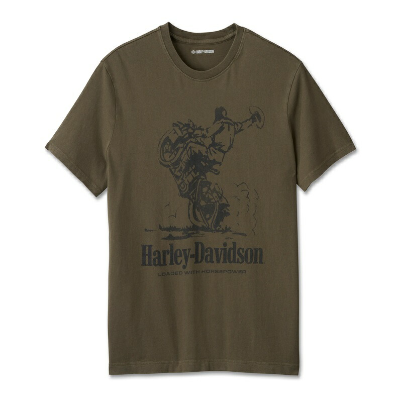 ハーレーダビッドソン ウィメンズ ソフトステンシルグラフィックTシャツ 96452-22VW 96123-25.jpg