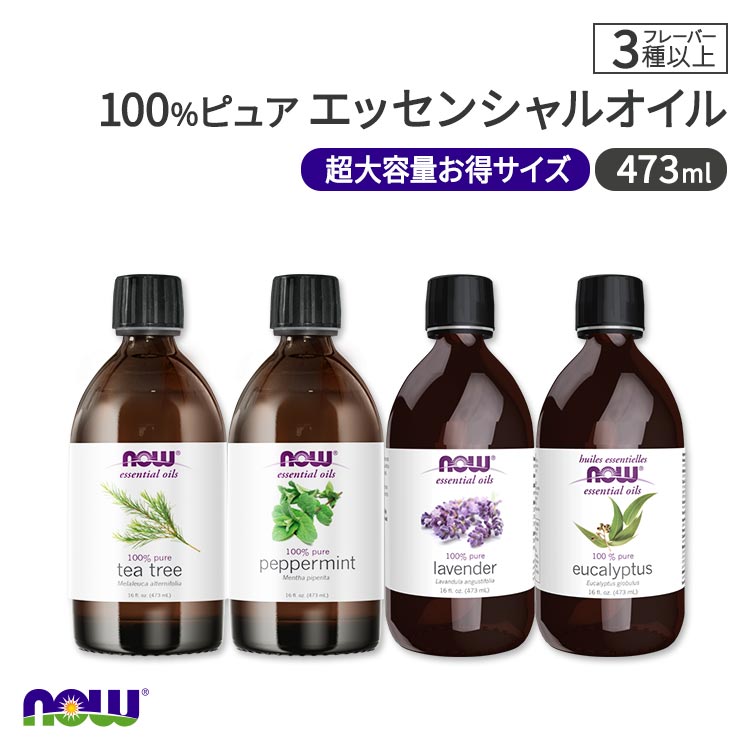 百貨店SALE人並み外れたぺージ by自然的音楽的調和