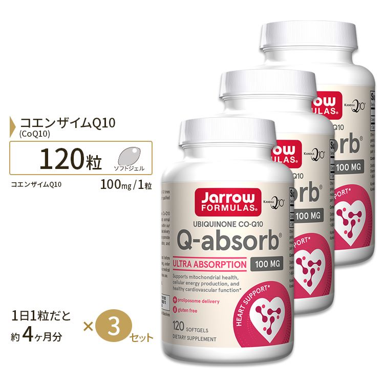 初売り】 クロロフィル 100mg 90粒 3個セット icsef.edu.co