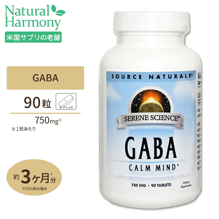 GABA(ギャバ)  ビタミンB6 500mg 100粒 NOW Foods(ナウフーズ)