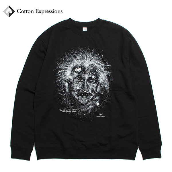 Cotton Expressions コットンエクスプレッションズ STARRY NIGHT SWEAT SHIRTS スターリーナイト 流汗 蓄光刷り上げる