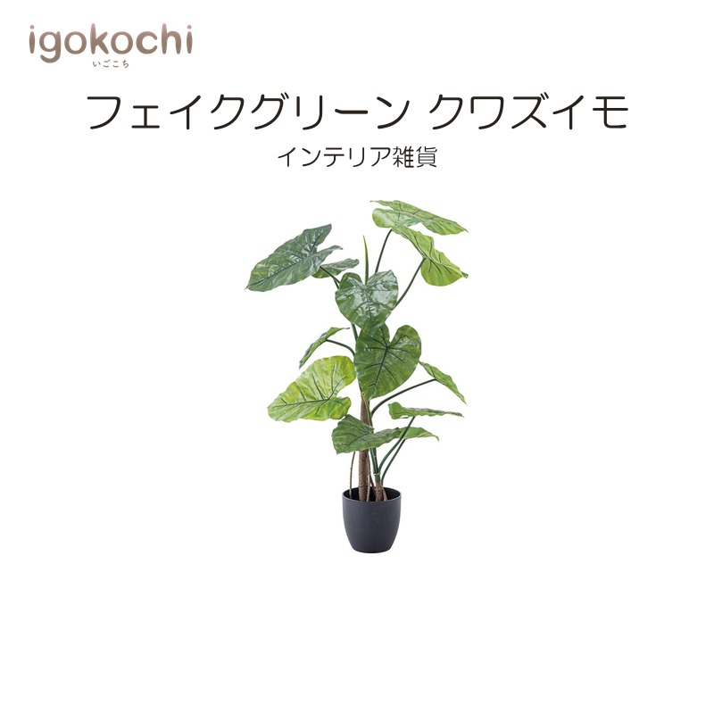 フェイクグリーン クワズイモ フェイクグリーン 観葉植物 人工観葉植物 クワイズモ 造花 インテリア 癒し リーフ おしゃれ ガーデン igokochi｜春うららかな書房