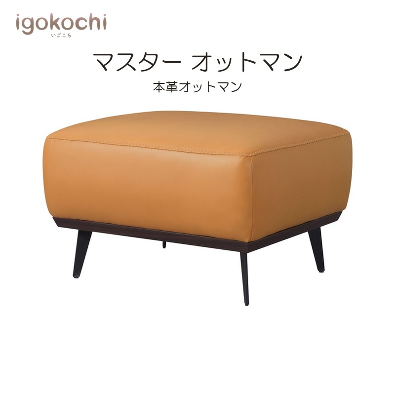 マスター オットマン オットマン 1人掛け 1人用 ソファ ソファー チェア 本革 レザー スチール おしゃれ igokochi｜春うららかな書房