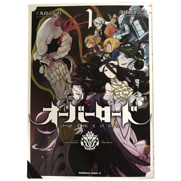 オーバーロード 1〜19巻　全19巻　全巻セット　送料無料 レンタル落ち オーバーロード 1-19巻セット |本 | 通販 | Amazon
