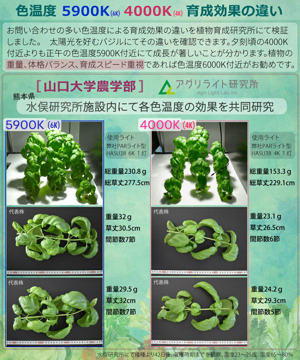 HaruDesign 植物育成ライト HASU38 spec9 6K 白色系 スワール