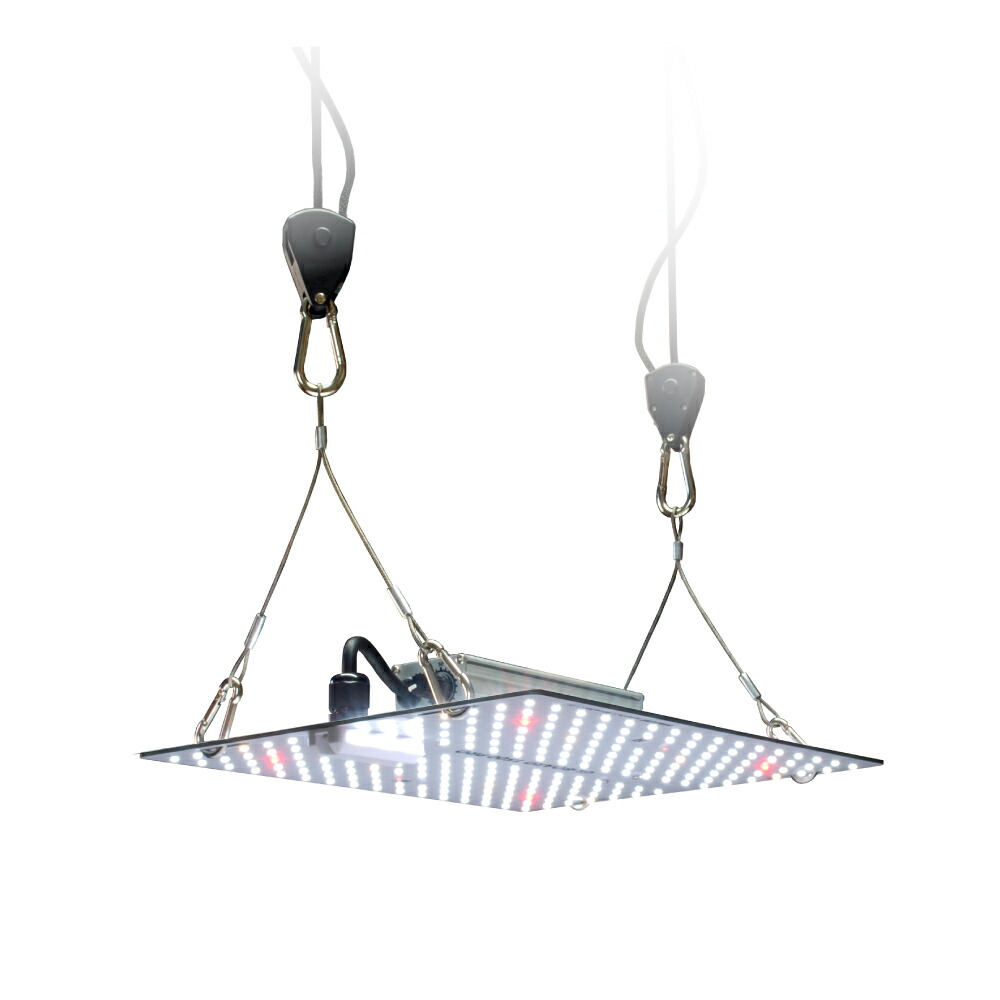 楽天市場】HaruDesign 植物育成ライト GL-BOARD800 育成用高効率