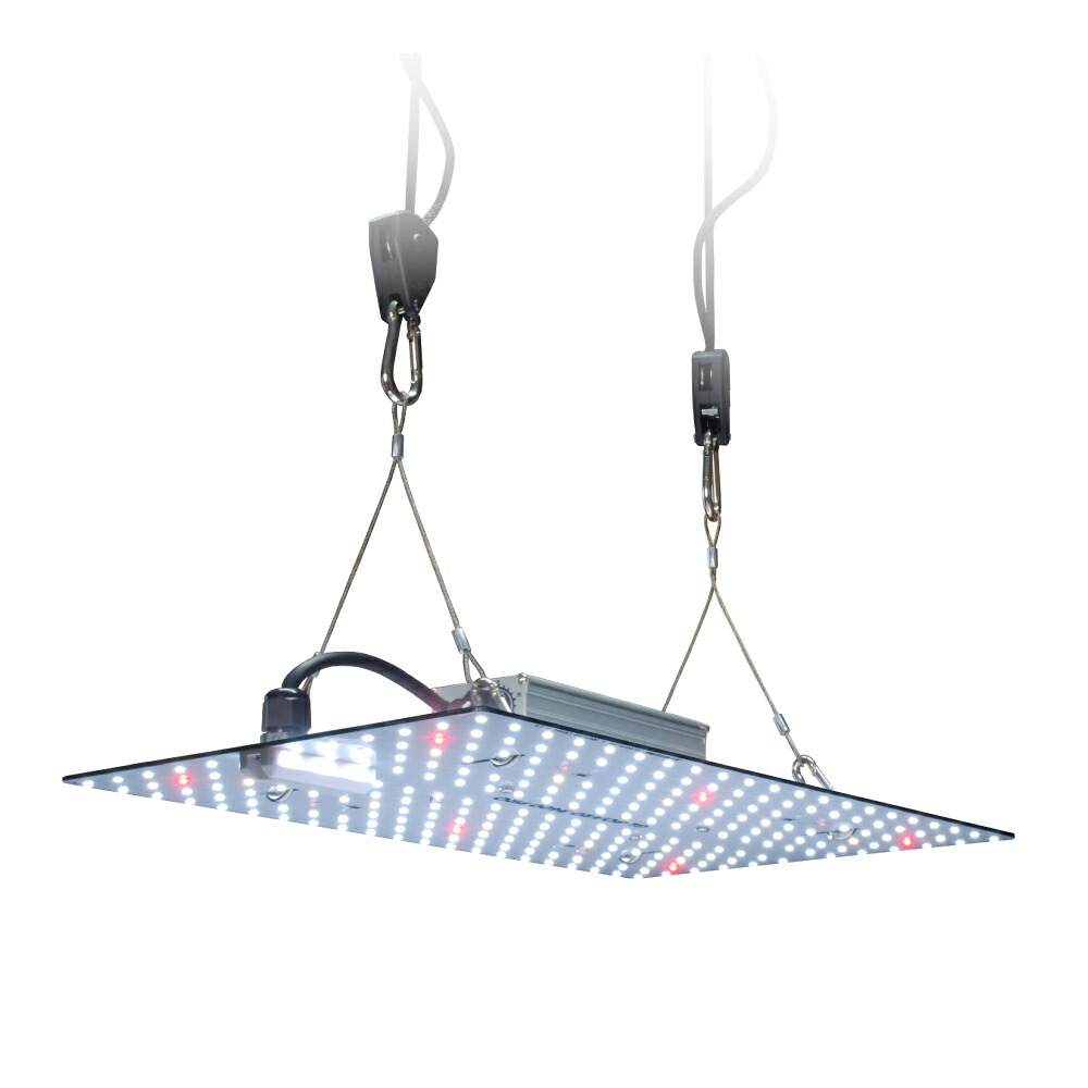 ハルモニア様LXL ハルモニア♪様XLL 公式】ハルモニアシリーズ on X: