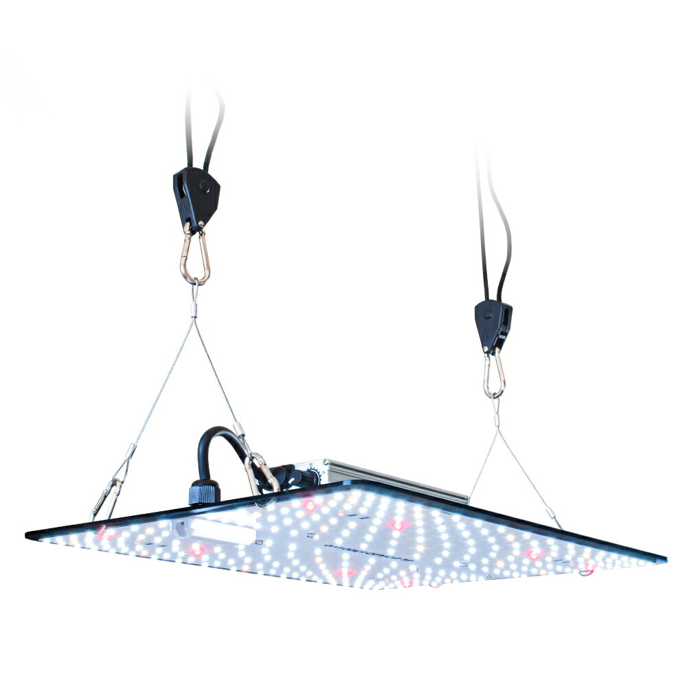 HaruDesign 植物育成ライト GL-BOARD5000 1台 植物育成用LEDパネルライト「GL-BOARD 1200」はるデザインから登場