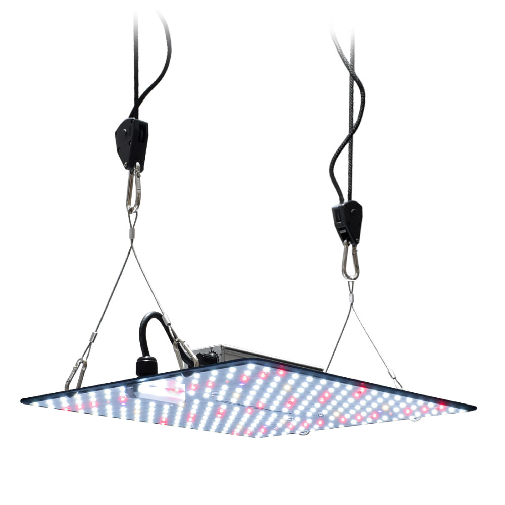 楽天市場】HaruDesign 植物育成ライト GL-BOARD6400 EVO