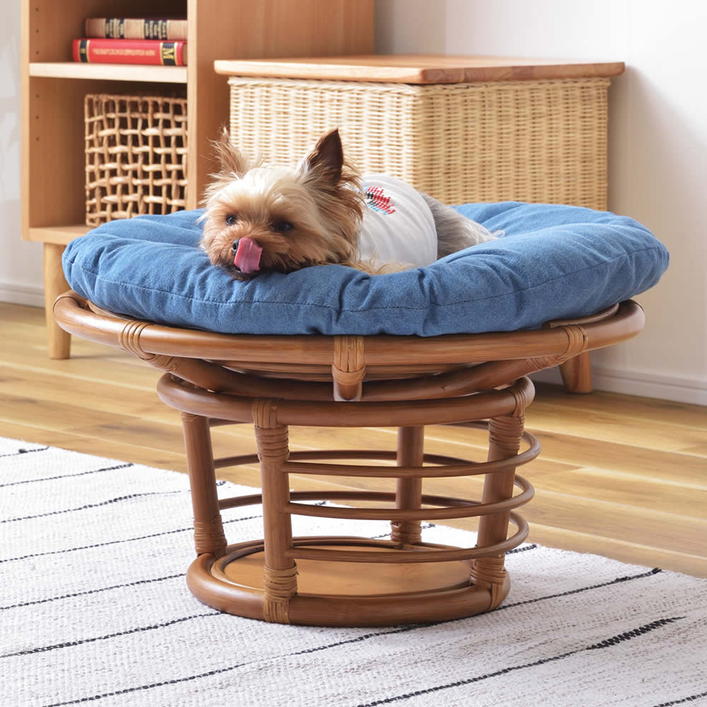ペットスツール ソファ ペット用ソファ クッション ペットベッド ネコ イヌ 猫 犬 ベッド 室内用 屋内用 小型犬 ペット用品 グッズ キャットタワー 省スペース 犬用 猫用 かわいい おしゃれ リゾート ホテル ケージ 猫箱 箱座り ペットベッド 座椅子 nh12092｜家族の幸せライフ専門店 スマハピ