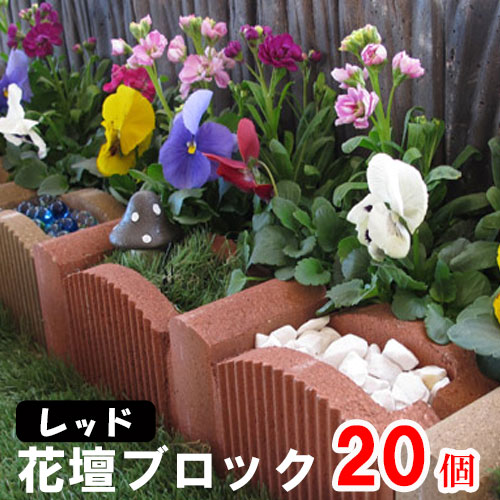 骨花壇 nh7099.jpg