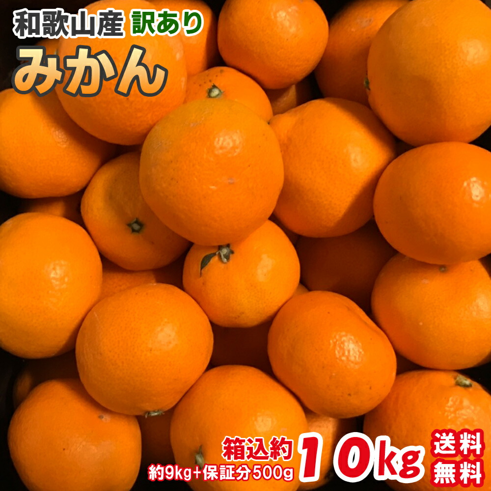 みかん 訳あり 10kg（箱込約10kg）和歌山県産 ご家庭用 送料無料