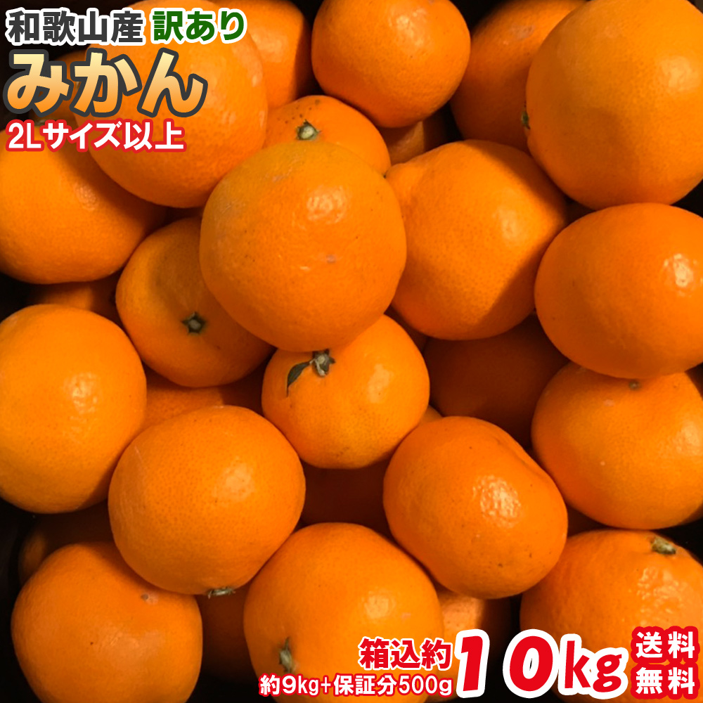 【楽天市場】みかん 訳あり 10kg（箱込約10kg）和歌山県産 ご家庭