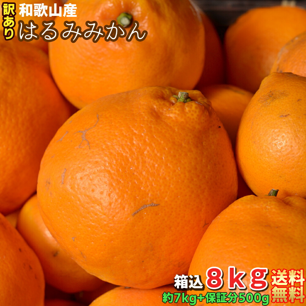 楽天市場】みかん 訳あり 5kg（箱込約5kg）和歌山県産 ご家庭用 送料