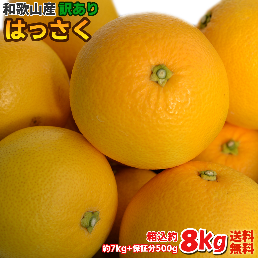 楽天市場】【訳あり】甘夏 あまなつ 和歌山県産 8kg（箱込約8kg） ご