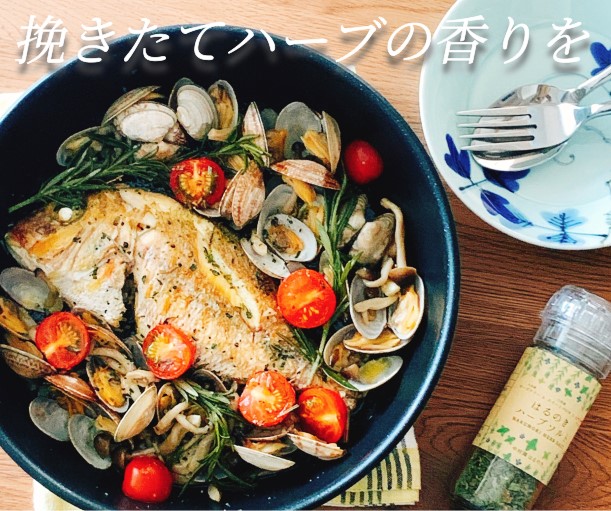 楽天市場 ローズマリー リーフ１５ｇ ノンカフェイン 福岡県 八女産 ハーブティー お料理の スパイスとしても おすすめ 自社農園 自社乾燥 無添加 無着色 無香料 安心 安全 おうち時間 ギフト 健康 飲料 主婦 美容 はるのき自然派ハーブティー お茶