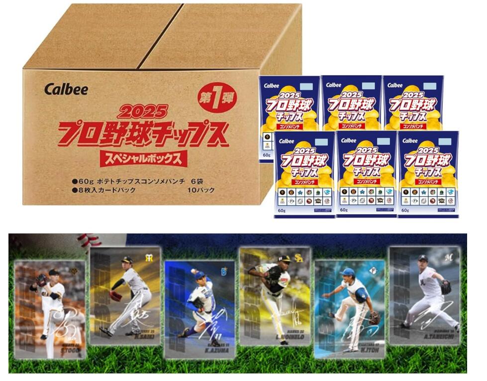 プロ野球カード スペシャルボックス2019〜2021＋カードホルダー【コンプ】 プロ野球カード スペシャルボックス2019〜2021＋カードホルダー