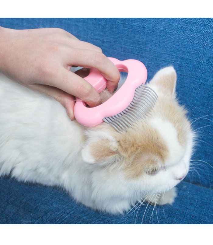 Sale 56 Off ペットブラシ ブラシ ネコ 猫 犬 猫ブラシ 抜け毛取り 毛玉取り 長毛 ペット用ブラシ 除毛 ピンブラシ ペット ペット専用 ブラッシング ペットグッズ ペット用品 換毛期対策 Qdtek Vn