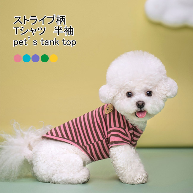 楽天市場】ペット服 Tシャツ 犬用 小型犬 中型犬 半袖 クマ ストライプ