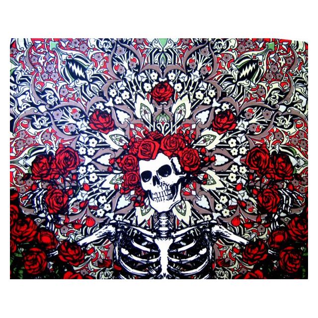grateful dead bertha grateful dead bertha