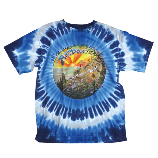 grate full dead グレイトフルデッド tシャツ 2007 grate full dead グレイトフルデッド tシャツ 2007 - メルカリ