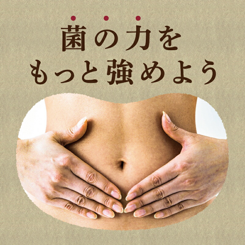 【メール便送料無料】粉なっとう[あらびき] 84g 小さじ1杯に納豆10パック分の納豆菌が生きているサプリメント/納豆キナーゼ/ポリアミン/食物繊維#四国阿波はすや
