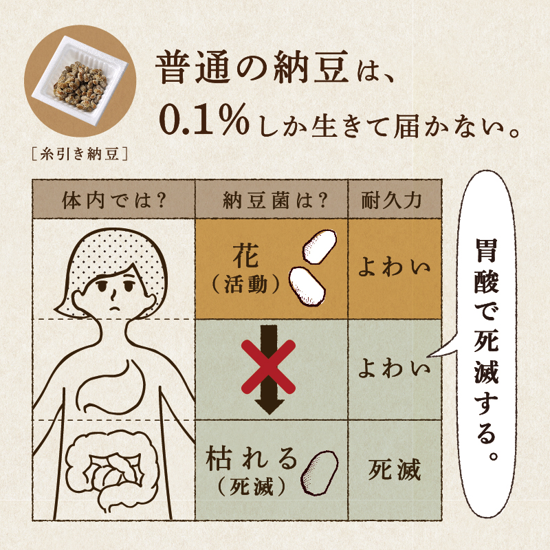 【メール便送料無料】粉なっとう[あらびき] 84g 小さじ1杯に納豆10パック分の納豆菌が生きているサプリメント/納豆キナーゼ/ポリアミン/食物繊維#四国阿波はすや