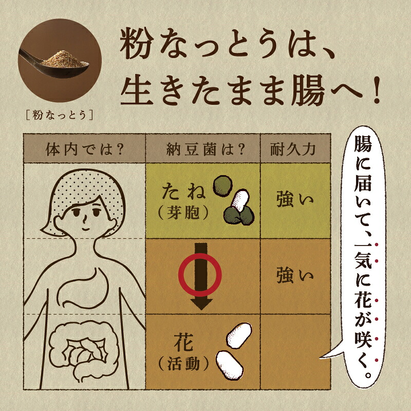 【メール便送料無料】粉なっとう[あらびき] 84g 小さじ1杯に納豆10パック分の納豆菌が生きているサプリメント/納豆キナーゼ/ポリアミン/食物繊維#四国阿波はすや