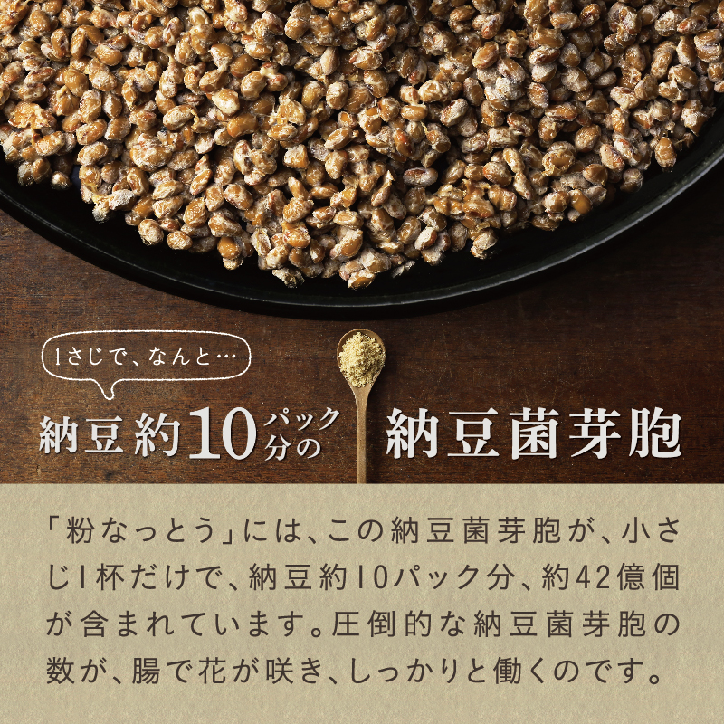 【メール便送料無料】粉なっとう[あらびき] 84g 小さじ1杯に納豆10パック分の納豆菌が生きているサプリメント/納豆キナーゼ/ポリアミン/食物繊維#四国阿波はすや