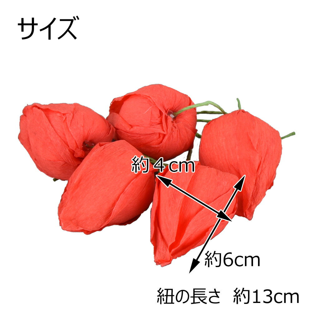 楽天市場 店内p最大5倍 盆用品 盆飾り お盆 新盆 初盆 お供え お盆用品 ほおずき バラ5個入 Q お仏壇のはせがわ お仏壇のはせがわ Online Shop