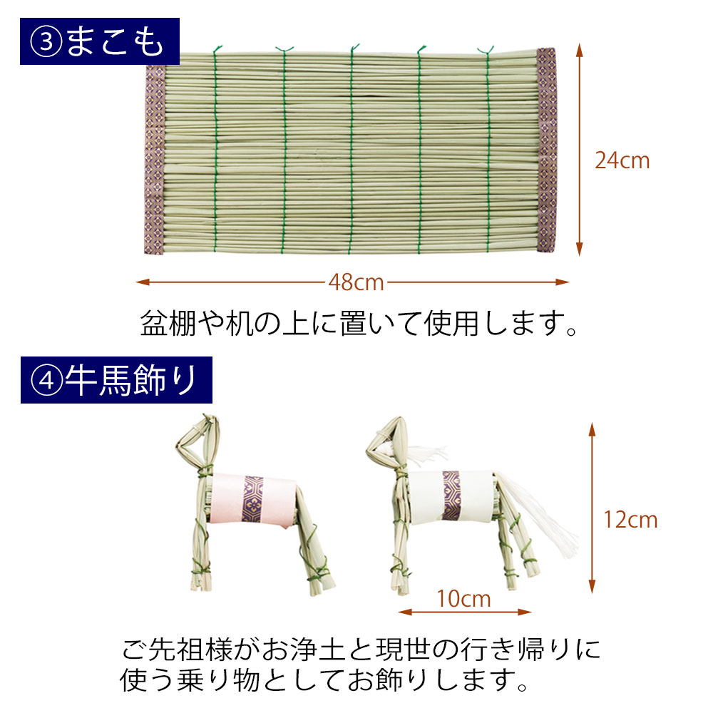 店内全品p5二倍 初御盆設定 初盆 新盆セット 新盆 初盆 新盆セット お盆セット お盆 盆提明り 盆ちょうちん 提灯 御土産 捧げる掛かり セット 白妙提灯 霊前灯 真菰 まこも ミニ大きさ 初盆セット パウダーコンパクトセット 1 A お仏壇のはせがわ Vned Org