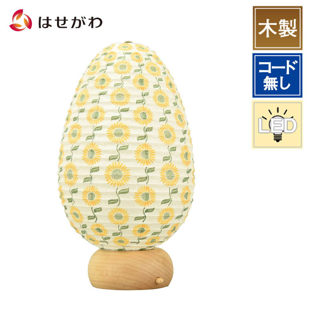 広盆 4589830881349a10.jpg