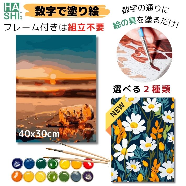 楽天市場】フレーム お得な2個セット 40x50cm 木製 キャンバス
