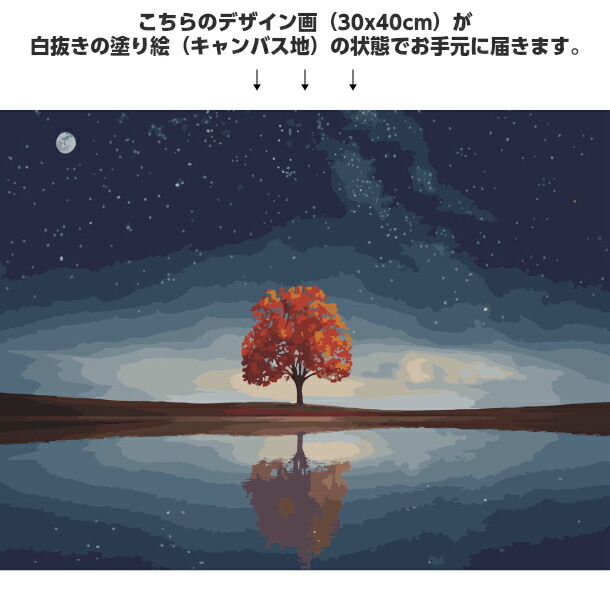 楽天市場 油絵塗り絵 大人気 数字油絵 大人の塗り絵 油絵 塗り絵セット アクリル絵具 風景 数字で塗り絵 インナーフレーム付 折り目無し 30x40cm Tree Of Life ギフト 数字絵 壁飾り 絵画 自然 海 木 星空 夜空 インテリア雑貨 おしゃれ キャンバス アートパネル