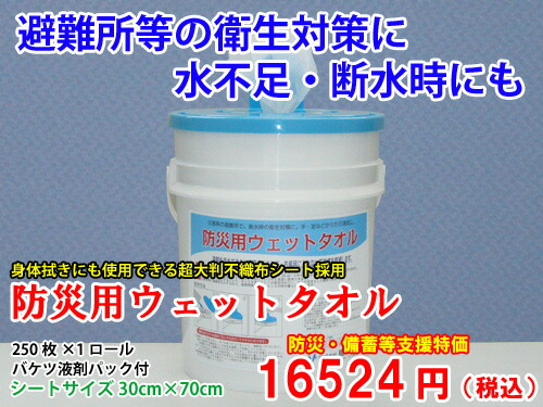防災用ウェットタオルBT250 超大判（28cm×70cm）　１ケース 帰宅困難者対策/避難所/防災/備蓄