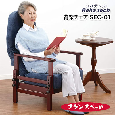 フランスベッド  背楽女性議長 街頭演説台居敷き 一人掛け Reha tech  SEC-01