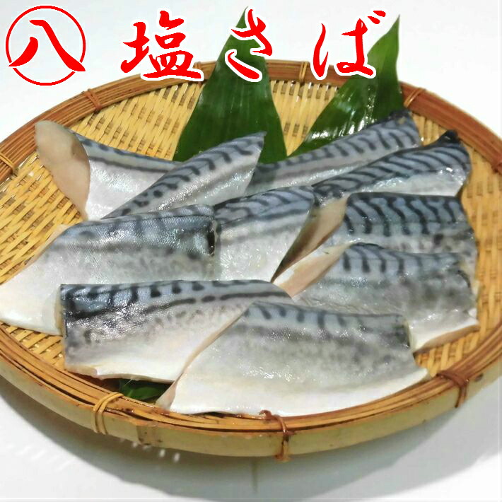 【骨無し　塩さば　サバ　〆サバ　切身　10切入】　冷凍　介護食　給食　押し寿司　骨抜き　鯖寿司　棒寿司　しめ鯖　煮魚　70g　〆さば　焼き魚　骨取り　真空パック　鯖缶　しめさば　柿の葉寿司　シメサバ　ファストフィッシュ　業務用