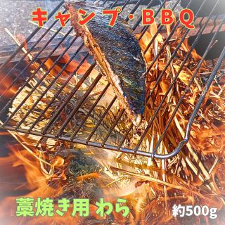 楽天市場】藁焼き用 藁 カット藁約500g アウトドア キャンプBBQ イベント お花見 飲食店レジャー 多人数用 家庭用ワラ焼き わら焼き  キャンプ用品初鰹 戻り鰹藁焼き カマンベールチーズ藁焼き地鶏藁焼き ステーキ肉藁焼き送料無料 : straw station