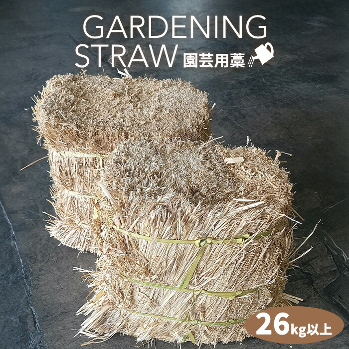 稲藁 稲藁売ります